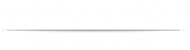 MAGAROLAS GROUP | Vision Realty of Miami Логотип